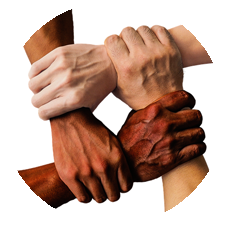 供应商多元化计划 物流加亚博pc国际 Yabo10 亚博18官方网站 亚博lol竞猜